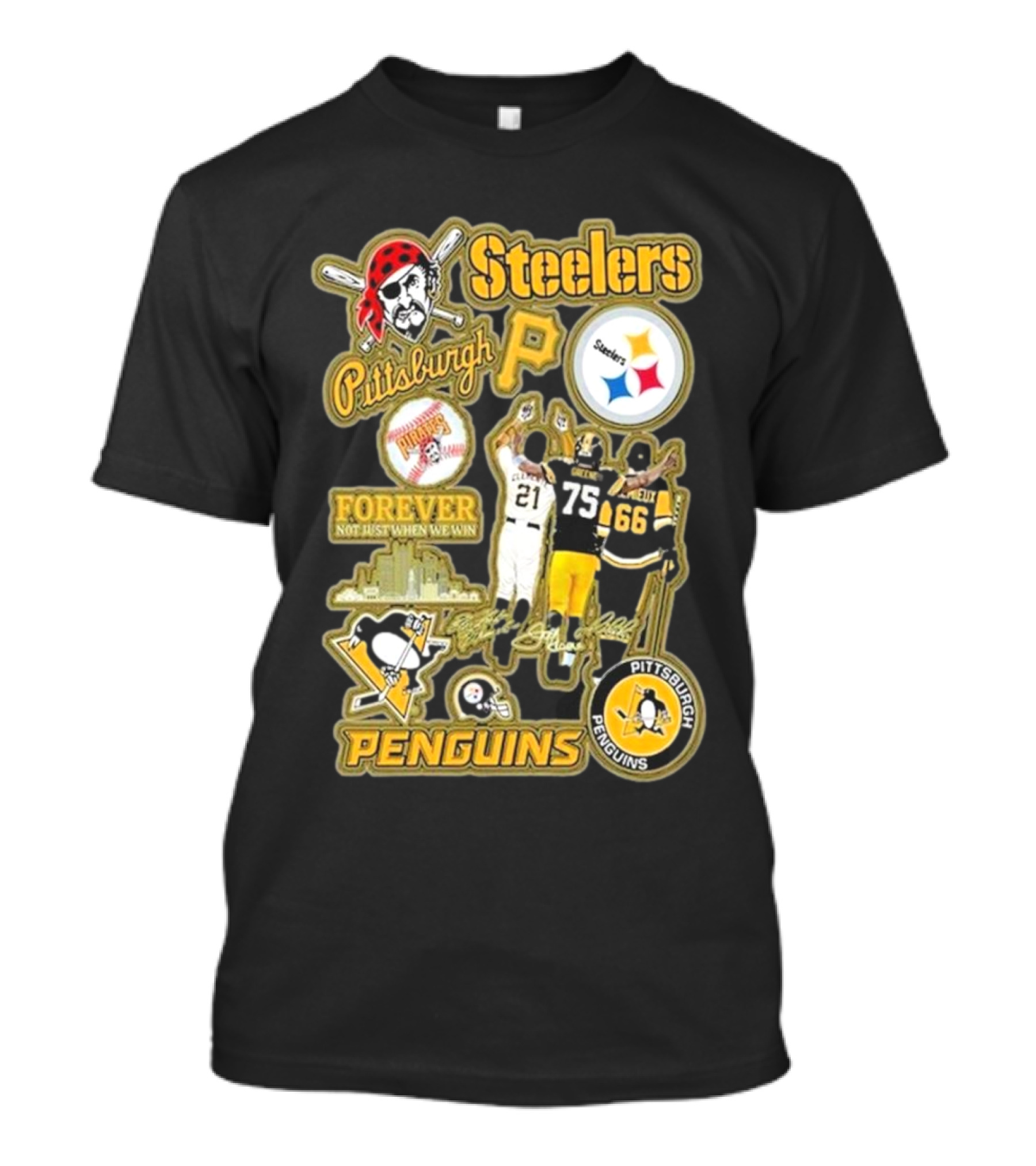 Steelers Penguins Pittsburgh Forever Fan Sports Icons And Passion T-Shirt