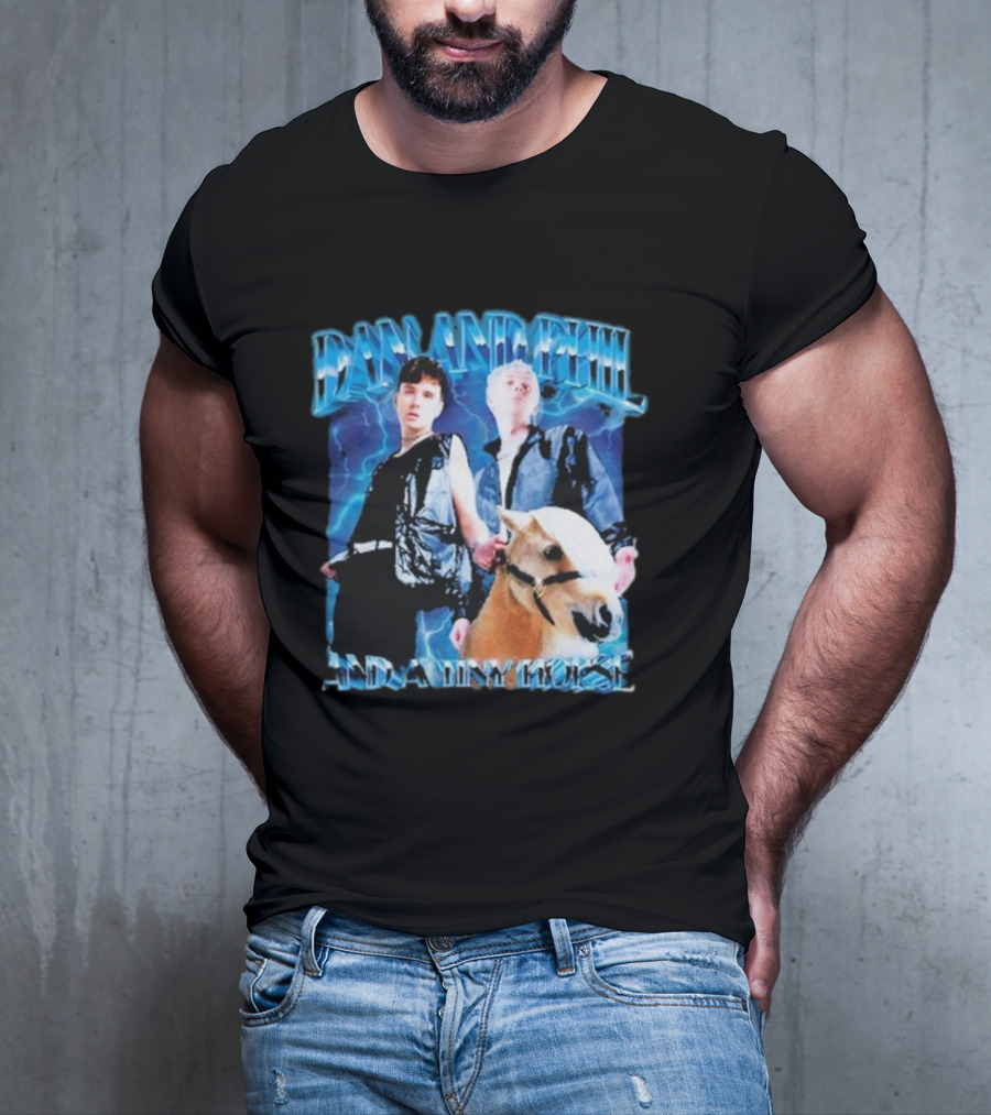 Dan And Phil And A Tiny Horse T-Shirt