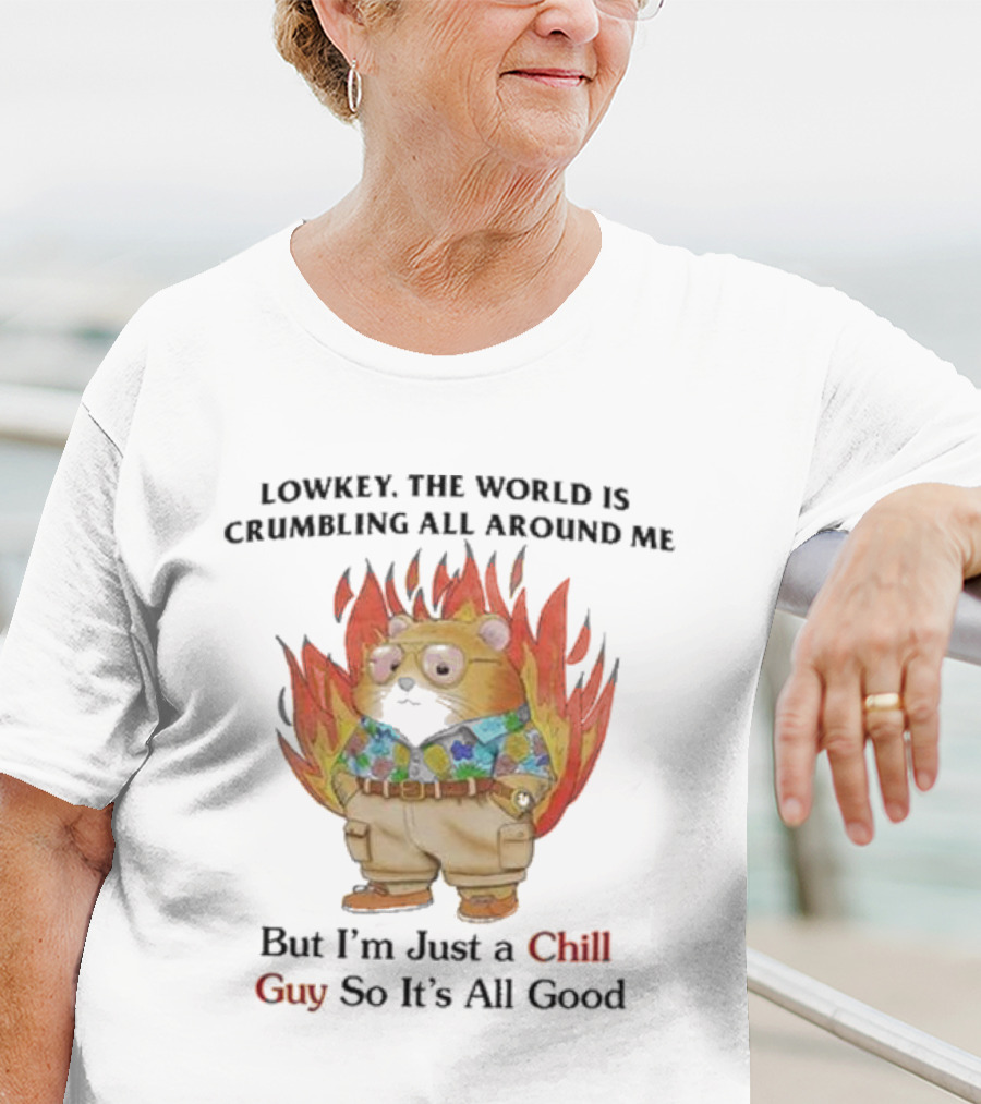 Chill Guy With World Crumbling Fire Background T-Shirt
