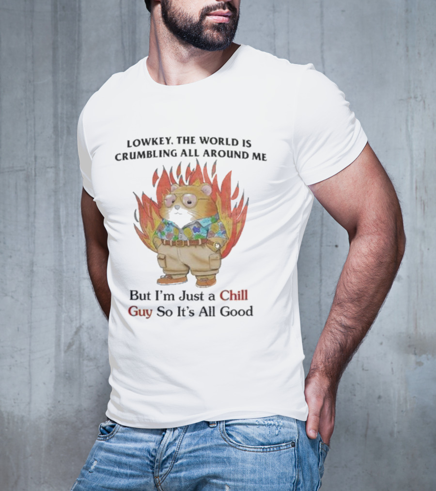 Chill Guy With World Crumbling Fire Background T-Shirt