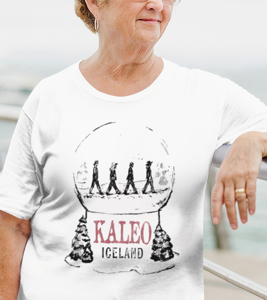 Kaleo Iceland Abbey Road Inspired Snow Globe T-Shirt