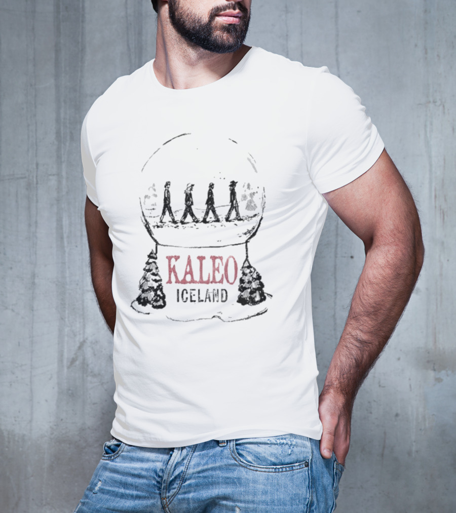 Kaleo Iceland Abbey Road Inspired Snow Globe T-Shirt