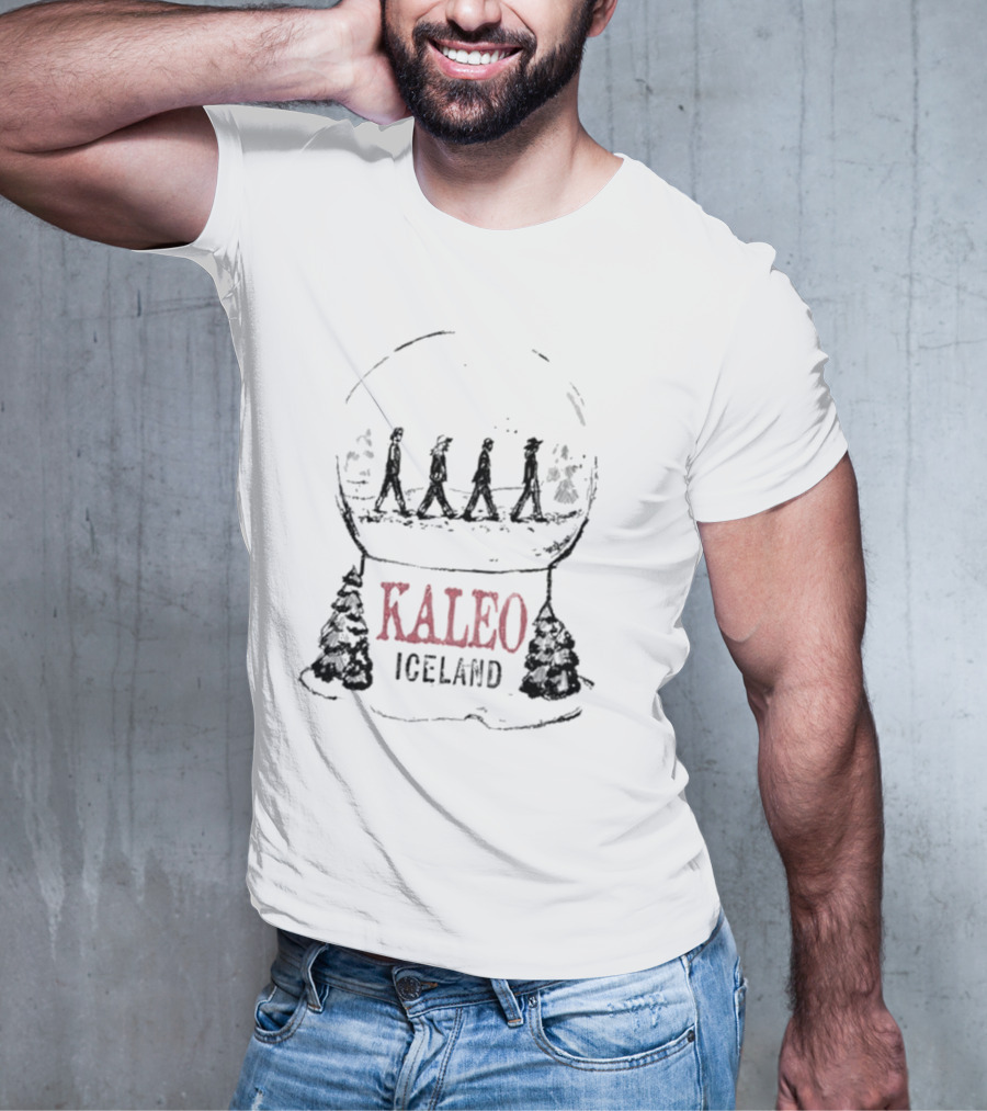 Kaleo Iceland Abbey Road Inspired Snow Globe T-Shirt