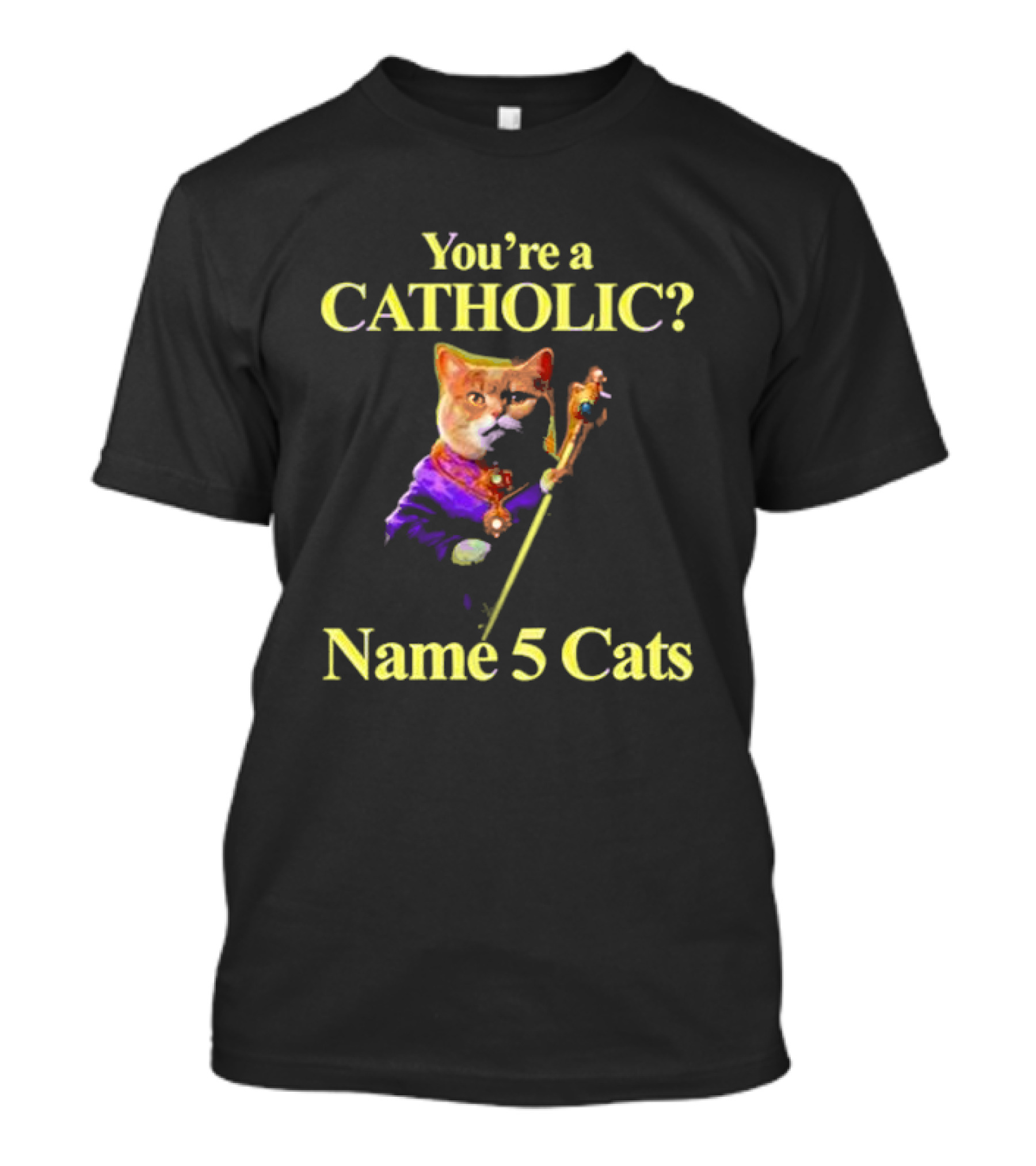 You’re A Catholic? Name 5 Cats T-Shirt