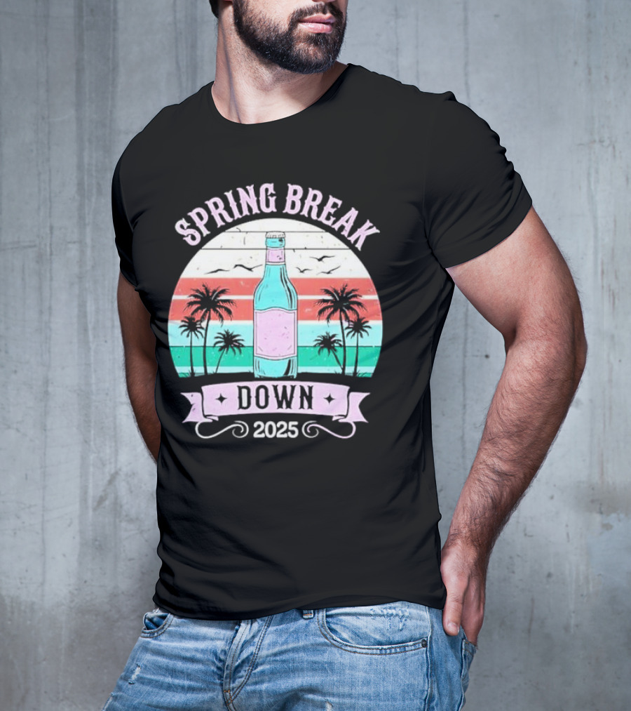 Spring Break Down 2025 Bottle Palms Retro Stripes Vintage Vibe T-Shirt