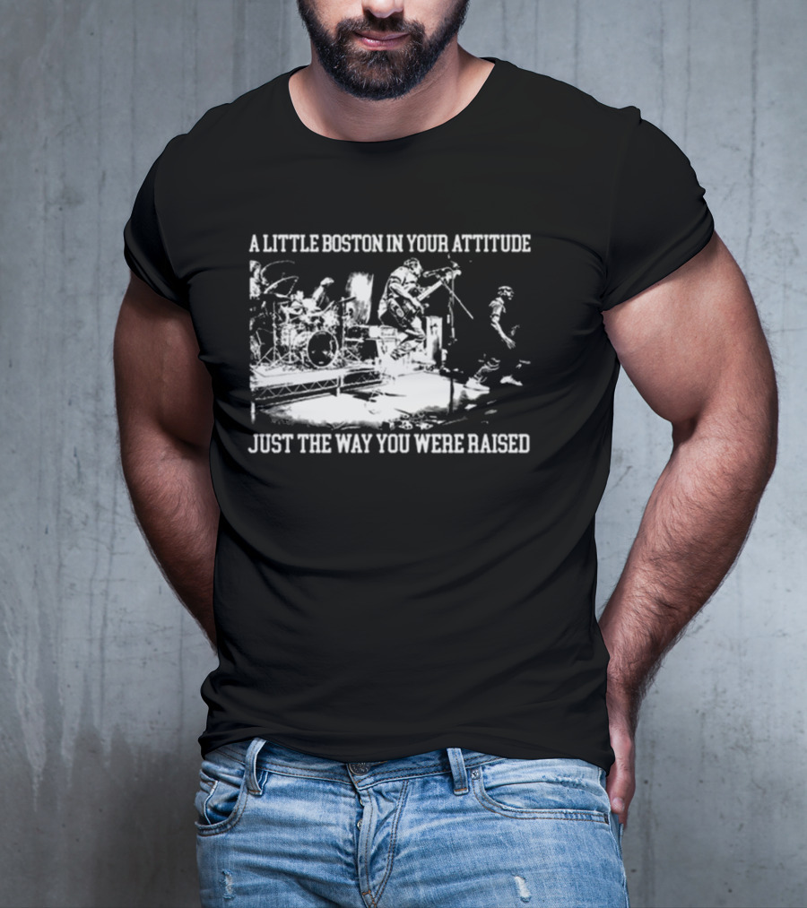 A Little Boston In Your Attitude Just The Way You Were Raised The Menzingers T-Shirt