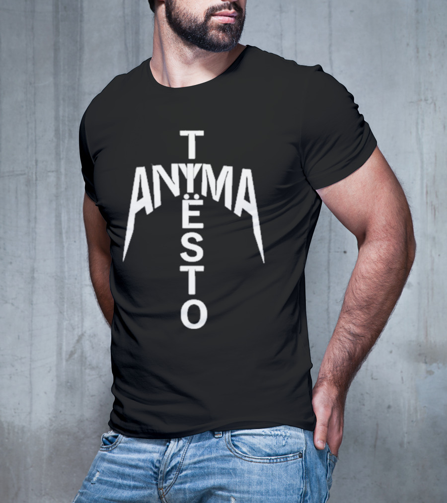 We Rave You Anyma Tiësto Typography Style T-Shirt